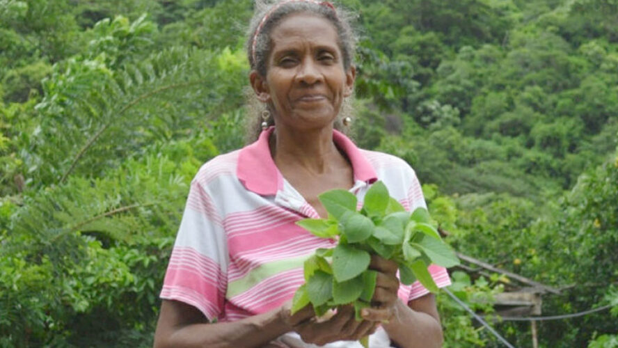 CREADORAS DE VIDA, SABERES ANCESTRALES Y TEJIDO SOCIAL