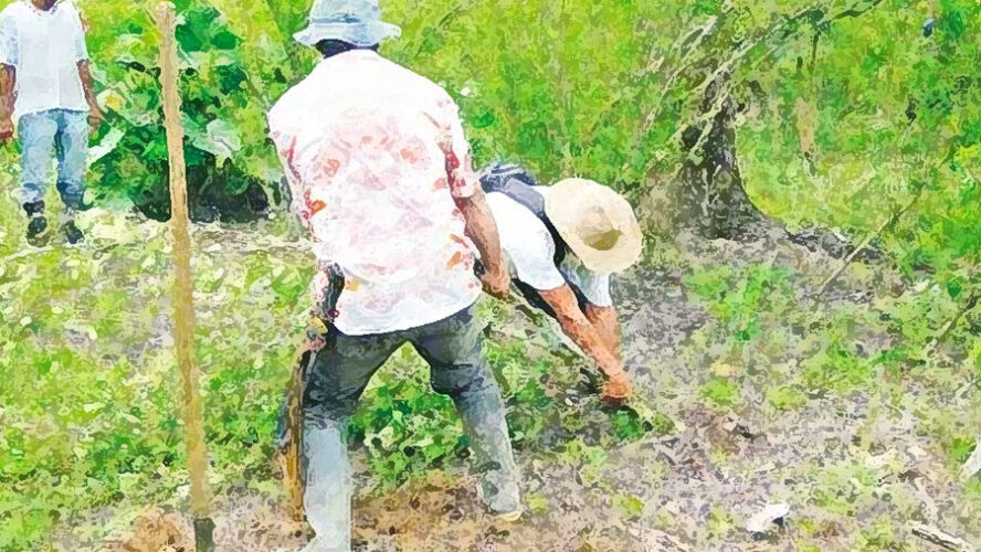 ARAUCA LIBRE DE COCA