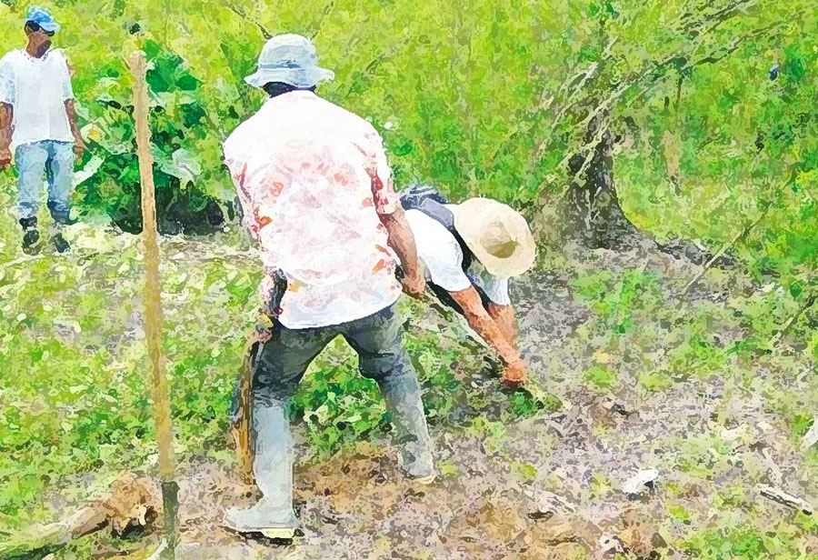 ARAUCA LIBRE DE COCA