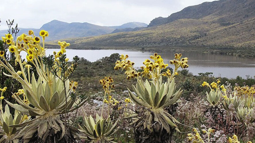 EL HISTÓRICO PÁRAMO DE PISBA AMENAZADO POR MEGAMINERÍA