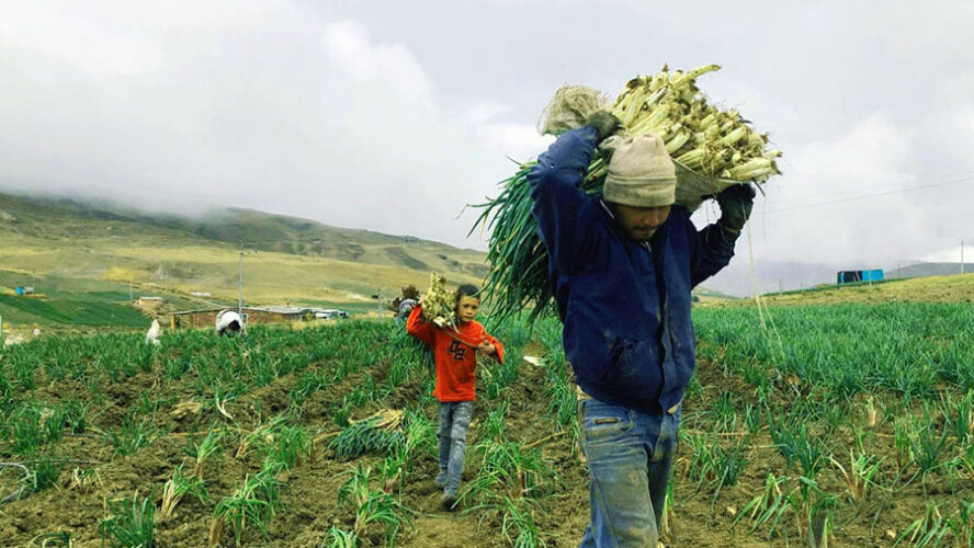 DÍA DE LOS DERECHOS DEL CAMPESINO