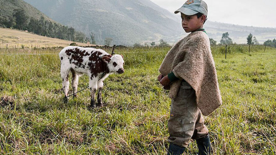 774 MILLONES DE NIÑOS EN PELIGRO POR LA POBREZA