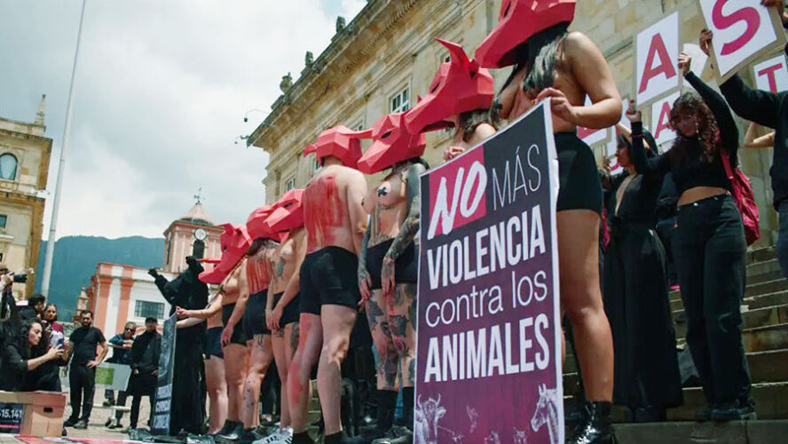 ANIMALES CON DERECHOS