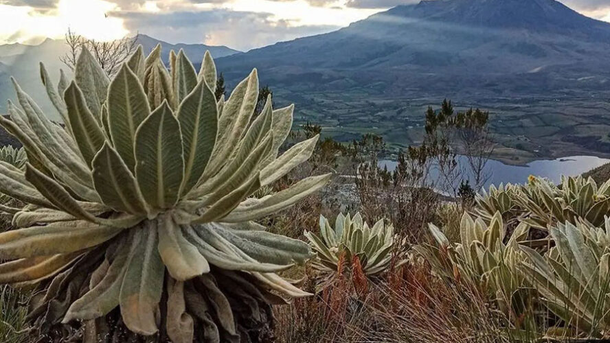 EL PRECIPICIO DEL CAMBIO CLIMÁTICO