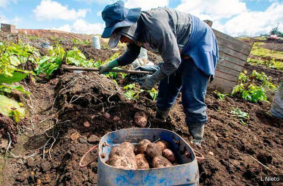 EL TRIUNFALISMO ECONÓMICO, ¿QUÉ OCULTA?