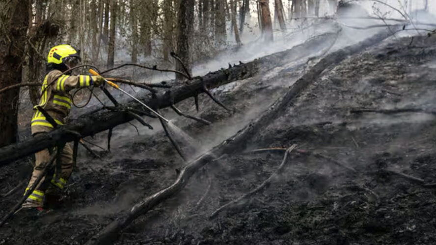 UN PIRÓMANO ESTÁ INCENDIANDO EL PLANETA