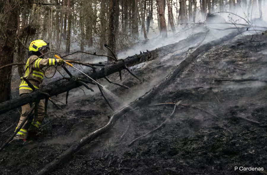 UN PIRÓMANO ESTÁ INCENDIANDO EL PLANETA