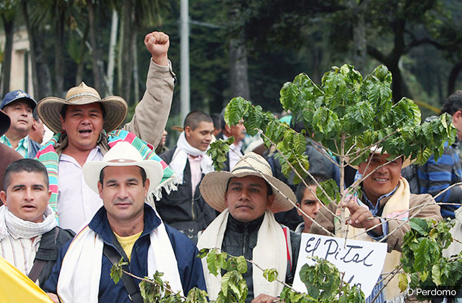 EL CAMPESINADO ES UN MOTOR PARA LAS TRANSFORMACIONES