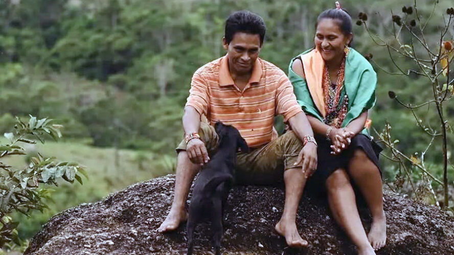 UNA POLÍTICA AMBIENTAL QUE AGUDIZA LA CRISIS CLIMÁTICA