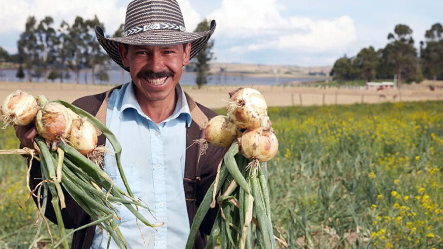 NO A LA SUBASTA DE TIERRA COLOMBIANA