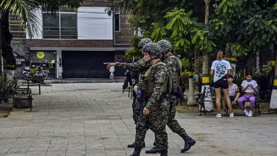 ‘BUCHE Y PLUMAS’