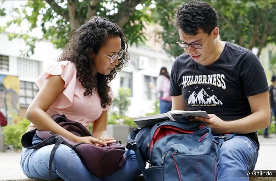 LA POBLACIÓN NINI ES UNA CONSTANTE DE NUESTRA ECONOMÍA