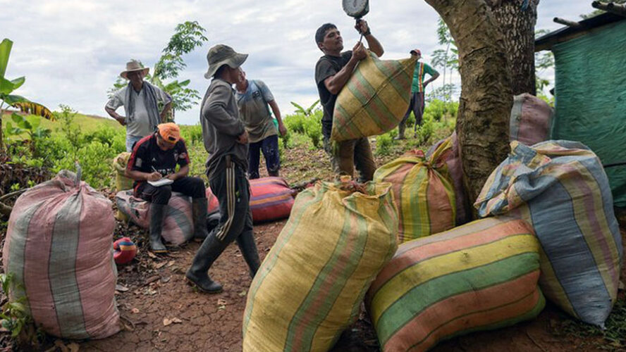 CAPITALISMO MAFIOSO, COCA Y ESMERALDAS