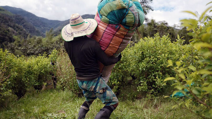 RETIRAN UN GENERAL, LOS OTROS QUEDAN COLGANDO