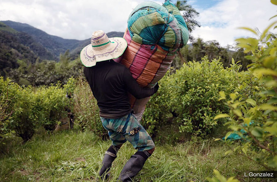 RETIRAN UN GENERAL, LOS OTROS QUEDAN COLGANDO