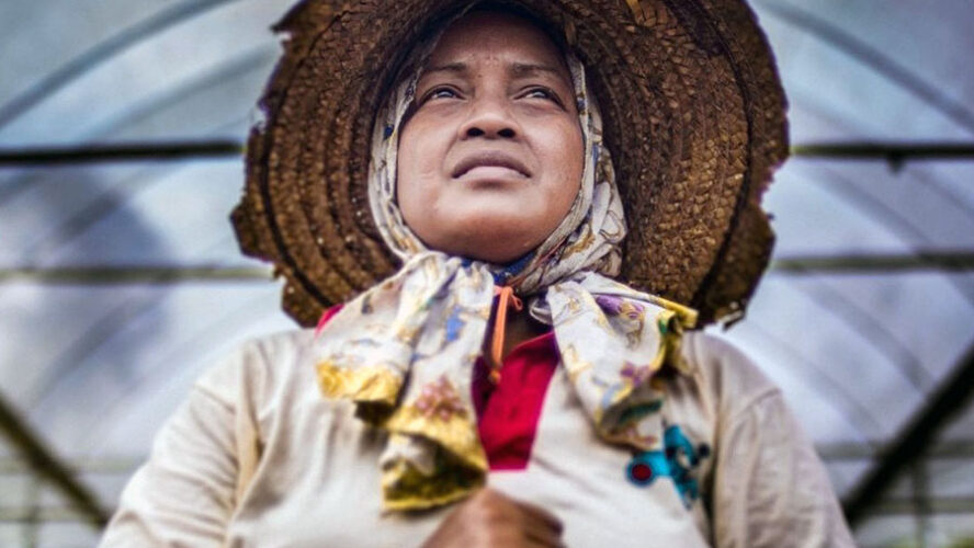 EL DILEMA: DEPENDENCIA O SOBERANÍA