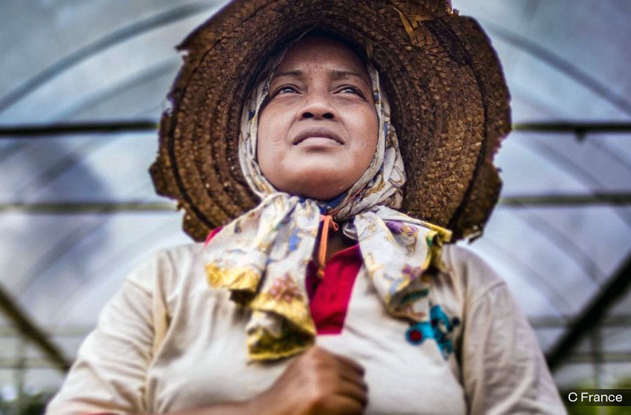 EL DILEMA: DEPENDENCIA O SOBERANÍA