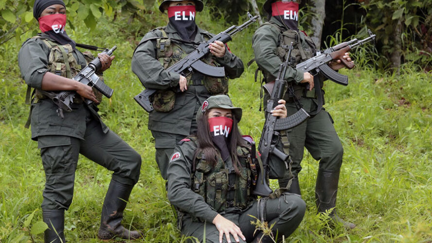 COMBATES DEL FIN DE SEMANA PASADO