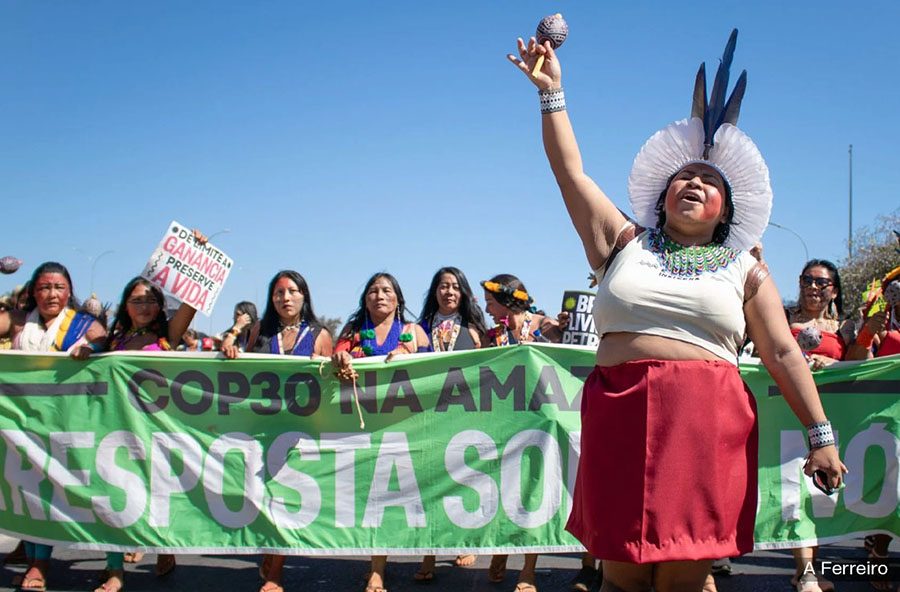 LA COP30, ¿OTRA CONVENCIÓN INSULSA?