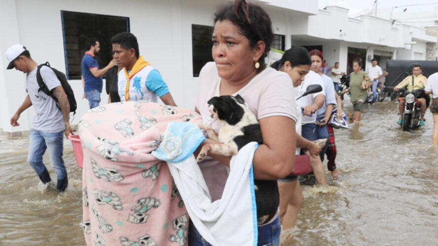 NO ES CULPA DEL CLIMA, ES EL MODELO