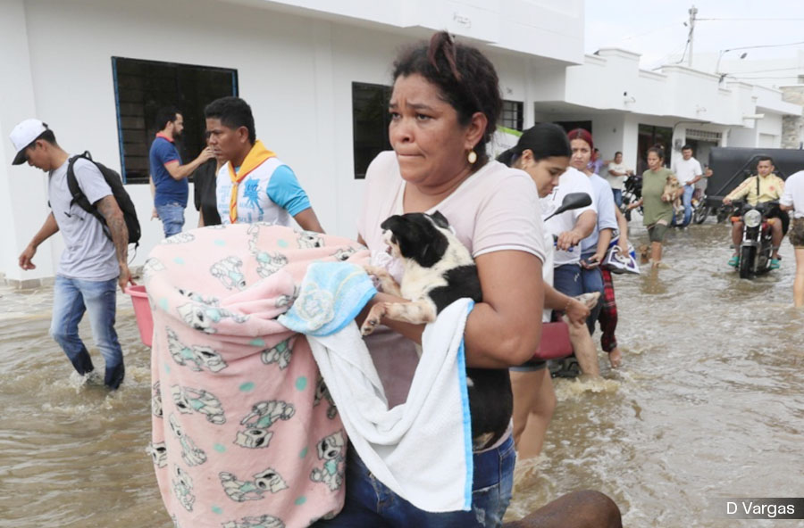 NO ES CULPA DEL CLIMA, ES EL MODELO