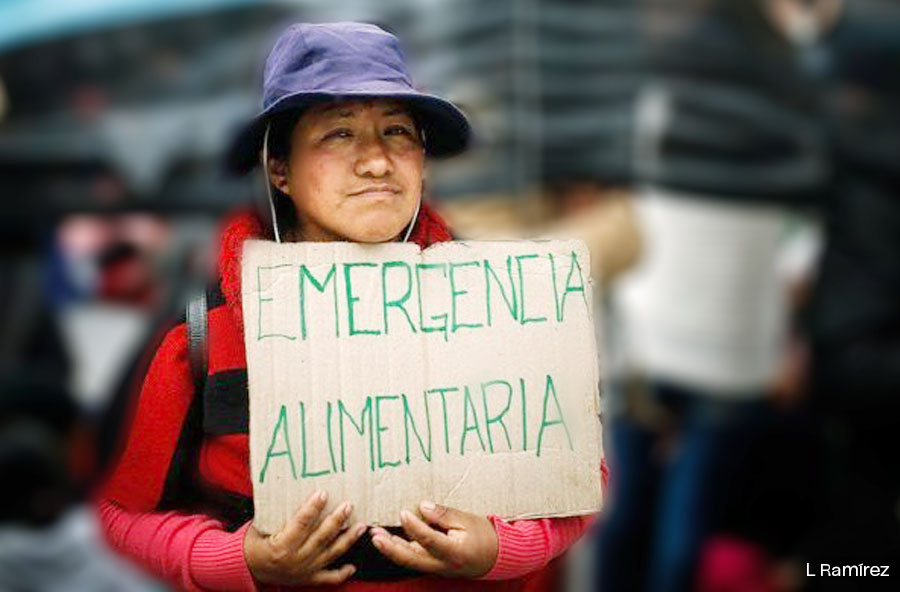 ¿PARA CUÁNDO LA AUSTERIDAD EN EL GOBIERNO?