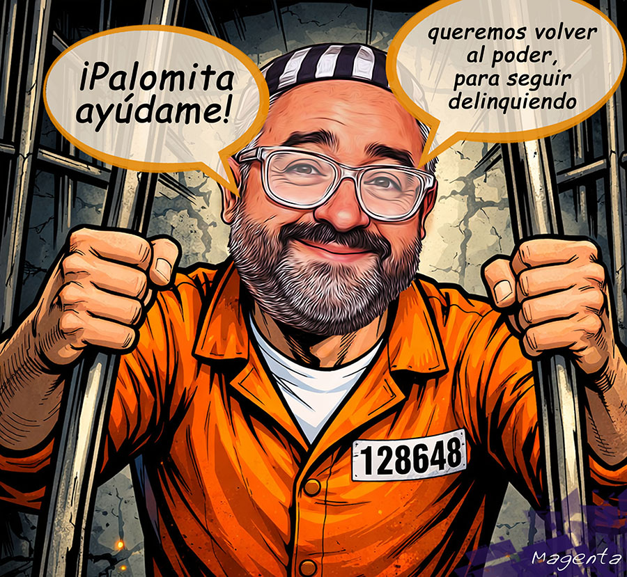 ¡PALOMITA SÁLVAME!