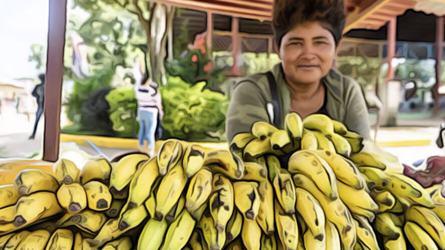 CONTINUA EN SALDO ROJO LA PRODUCCIÓN INTERNA