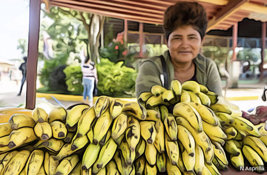 CONTINUA EN SALDO ROJO LA PRODUCCIÓN INTERNA