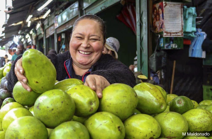 POR QUÉ PERSISTE LA DESACELERACIÓN