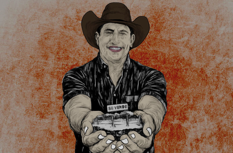 EL JEFE DE CAMPAÑA DE PALOMA ES UN AVE RAPAZ