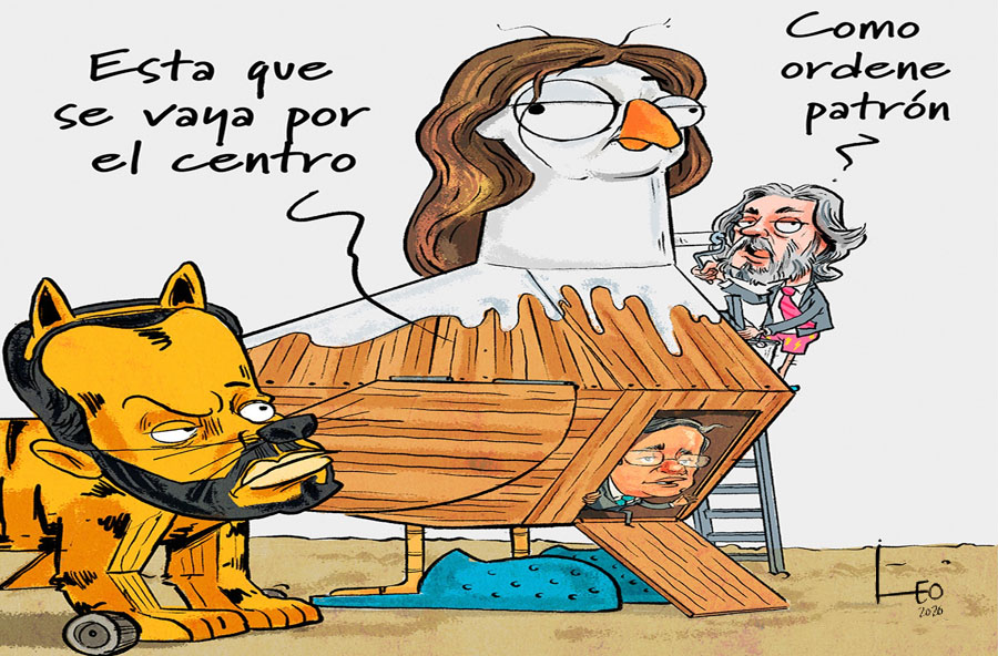 EL NIDO DE PALOMA ES CACA Y PAJA