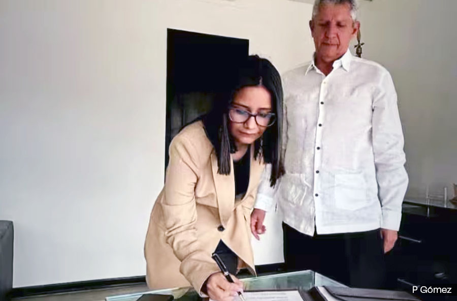 ¿QUÉ HACER CON EL DAPRE?