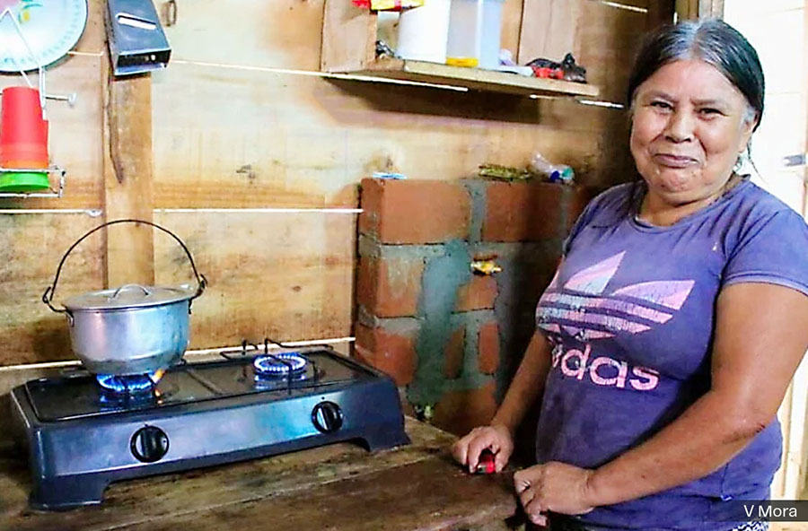 NO SE PUEDE DINAMIZAR LA ECONOMÍA SIN PODER ADQUISITIVO