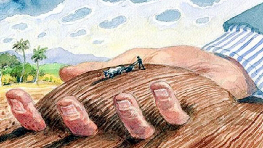 RESISTENCIA ANTE EL DESPOJO